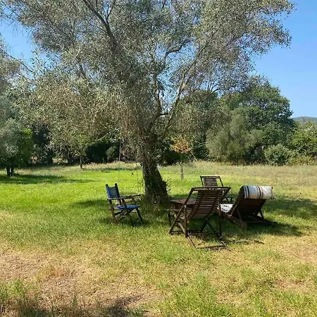 펜션 Lefkada's Bohemian Kalligoni