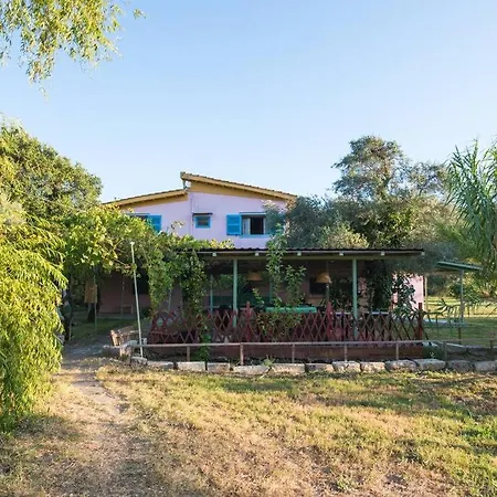 Lefkada's Bohemian 펜션 Kalligoni